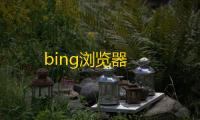 bing浏览器